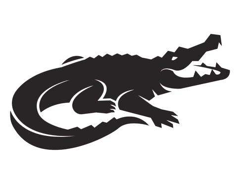 icon-image
