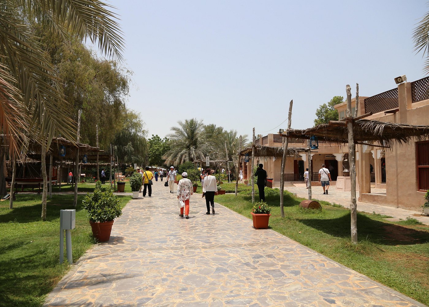 banner-image