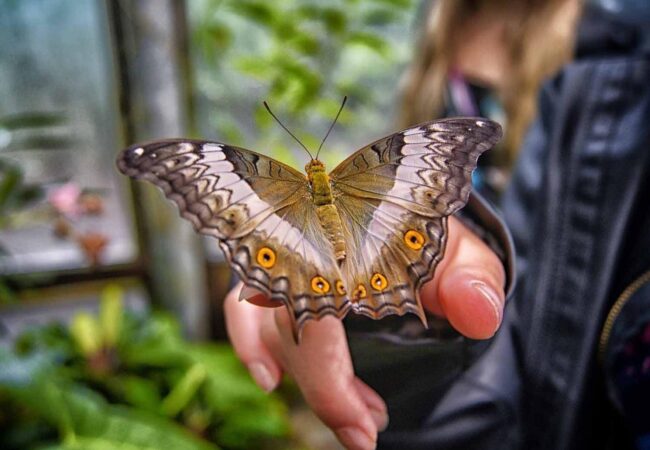 thumbnail-image